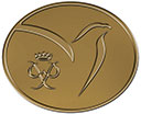 bronzeIA